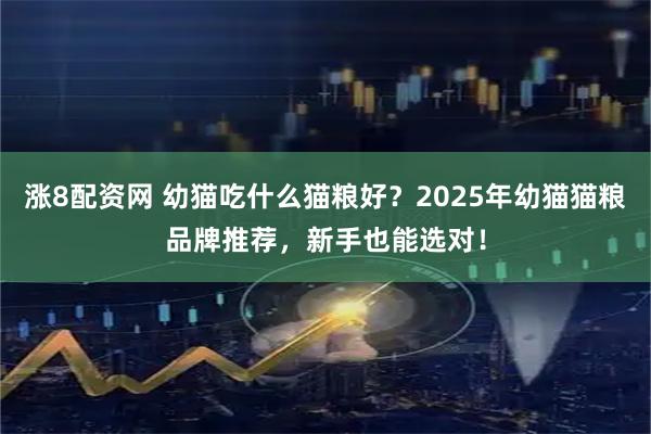 涨8配资网 幼猫吃什么猫粮好？2025年幼猫猫粮品牌推荐，新手也能选对！