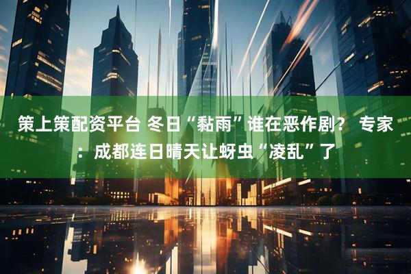 策上策配资平台 冬日“黏雨”谁在恶作剧？ 专家：成都连日晴天让蚜虫“凌乱”了