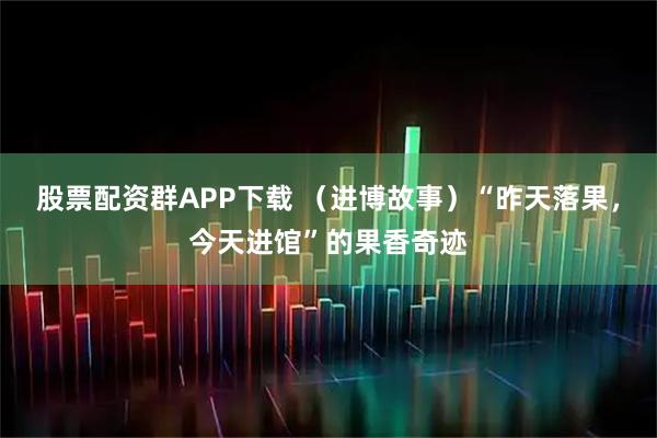 股票配资群APP下载 （进博故事）“昨天落果，今天进馆”的果香奇迹